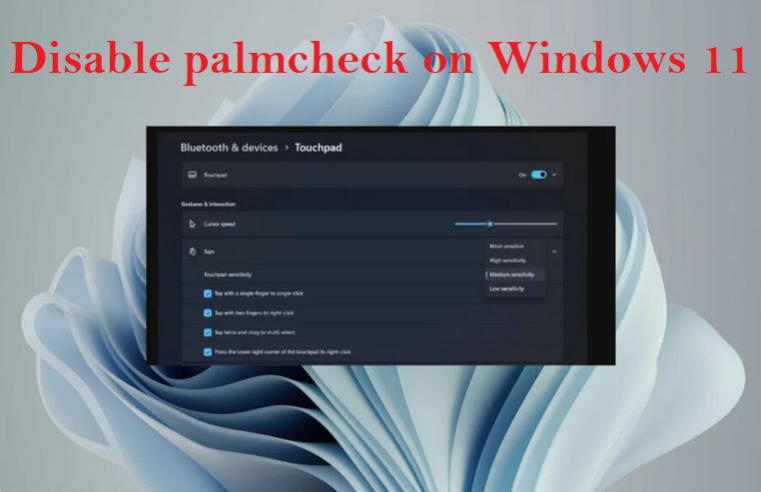 Mastering Touchpad Control: A Guide to Disabling Palmcheck on Windows 11