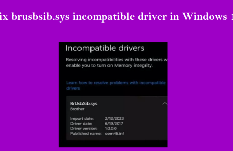 Resolving brusbsib.sys Incompatible Driver in Windows 11 issue: A Step-by-Step Guide